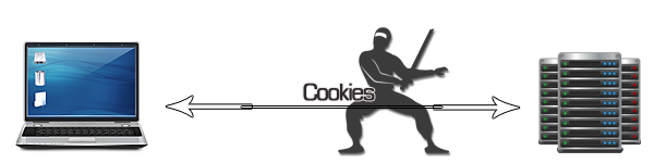 Browser cookies security